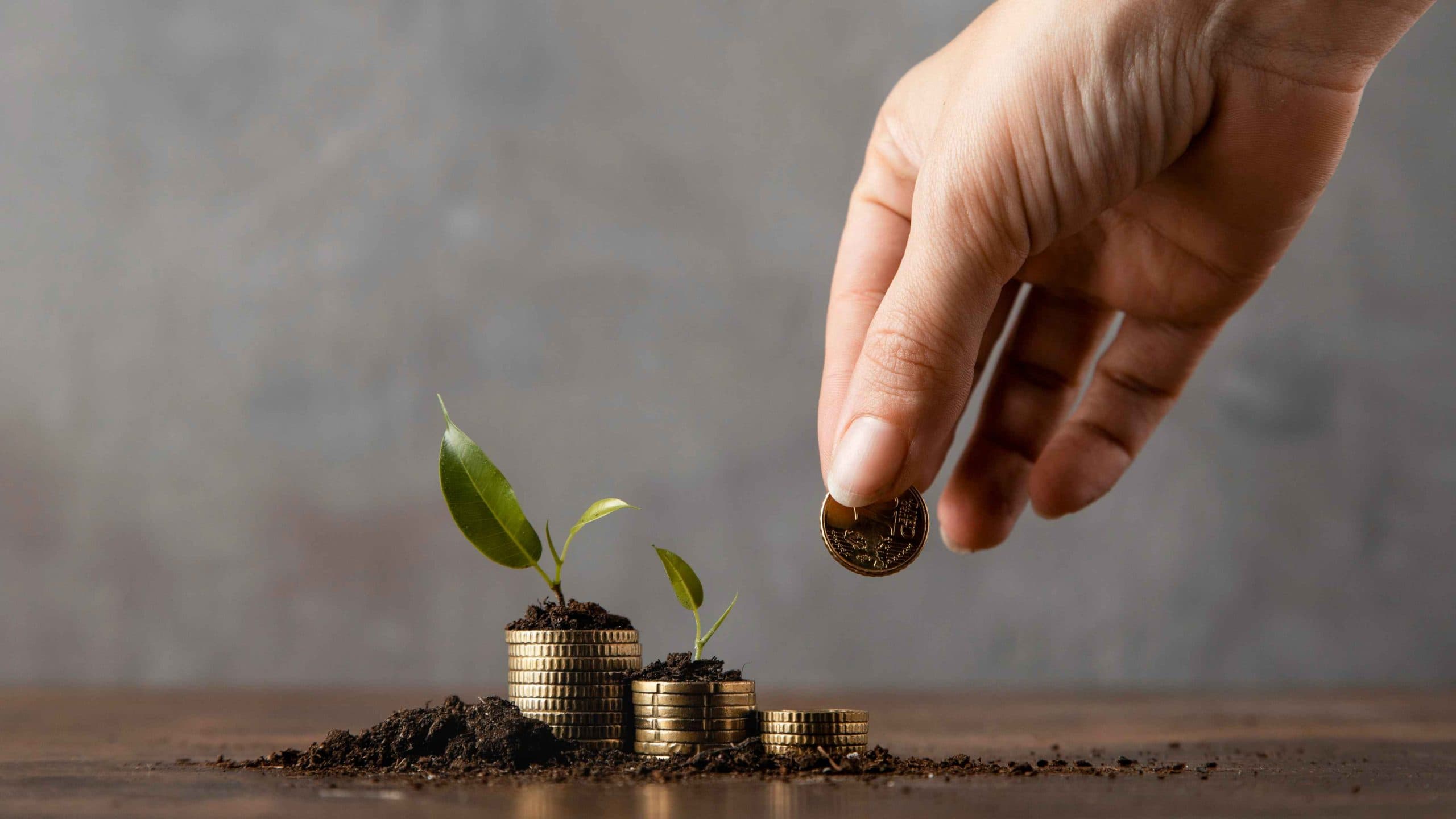 The Role of Microfinance in Empowering Communities