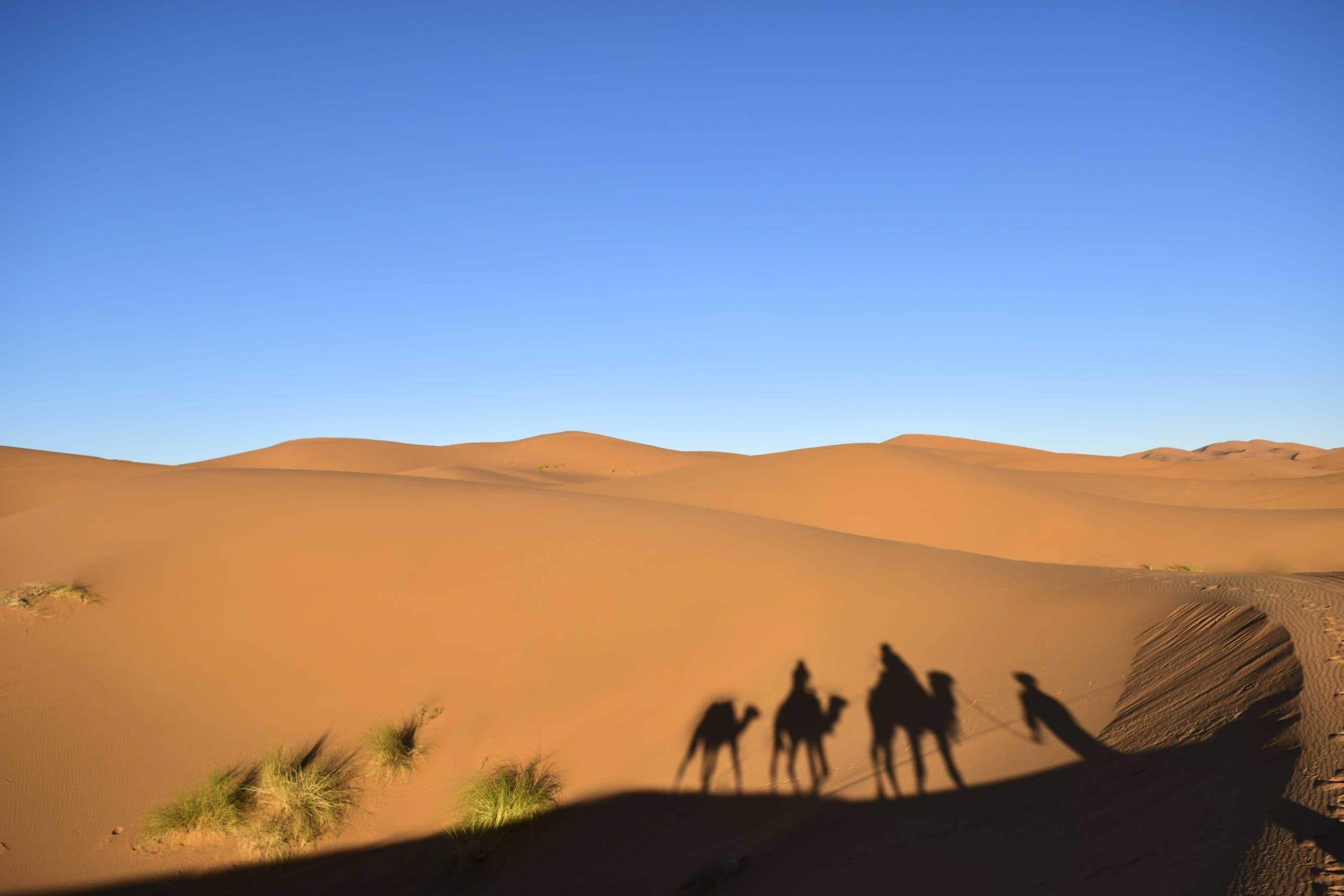 The Silk Road: Ancient Trade Networks and Their Modern Relevance