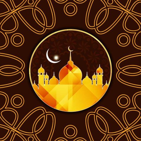 The Role of Observatories in the Islamic Golden Age